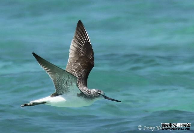 ����֣�����ͼ