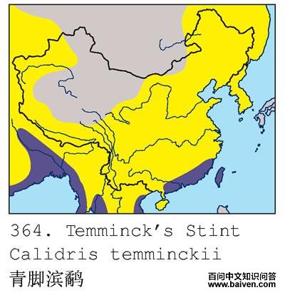 ��ű��֣������ֲ�ͼ