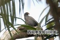 ��������\��ͼƬ