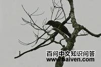 ��Ҿ��V��ͼƬ