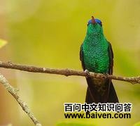 �ู�����ͼƬ