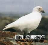 ����Ÿ��