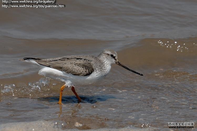 �����ֵ�ͼƬ