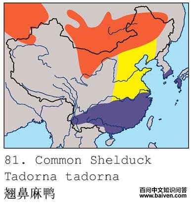 �̱���Ѽ�����ֲ�ͼ