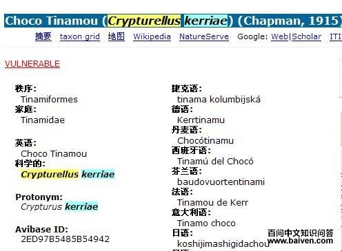 �ǿ�Ѩ[����]��ͼƬ