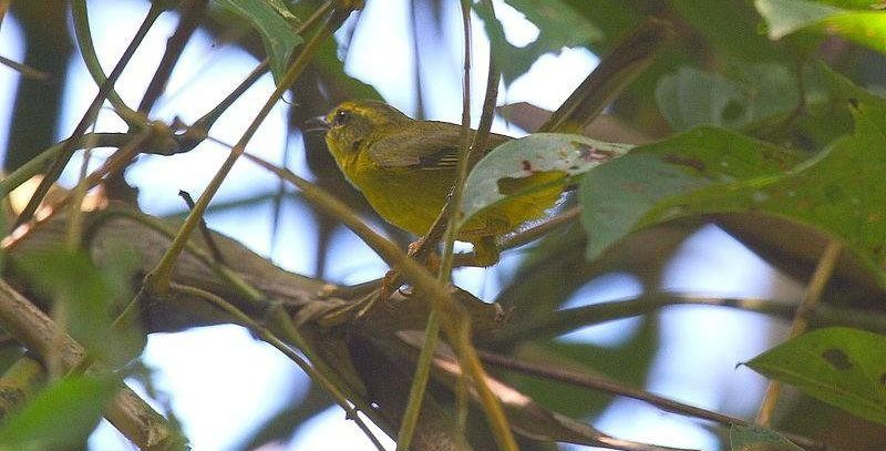 �ǿ���ɭݺ��ͼƬ