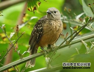 ǳ���ش�ͤ���ͼƬ