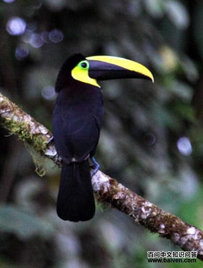 �ǿƾ������ͼƬ