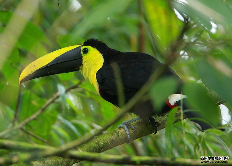 �ǿƾ�����