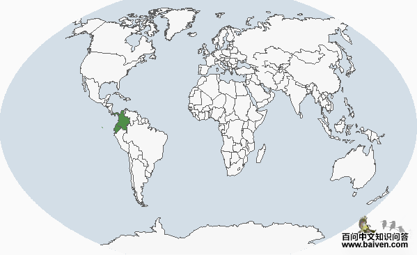 �ǿƾ�����