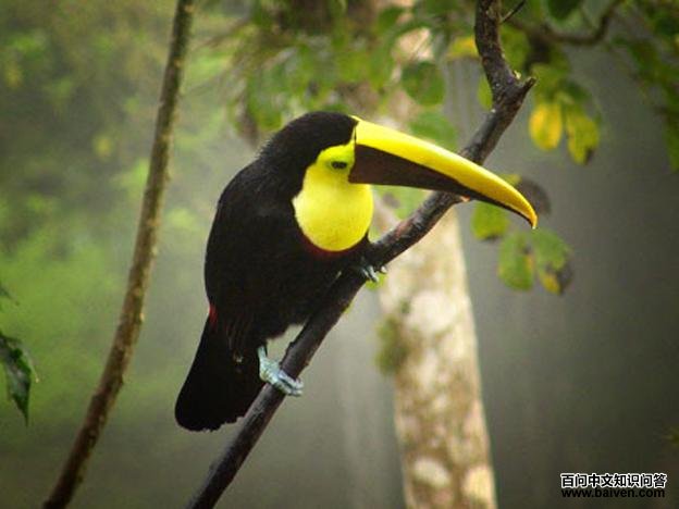 �ǿƾ�����