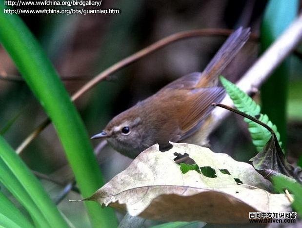 ǿ����ݺ�������Ĵ���������ү�ӣ�