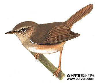 ǿ����ݺ����̬����ͼ