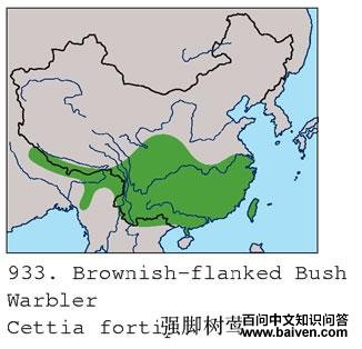 ǿ����ݺ�������ֲ�ͼ