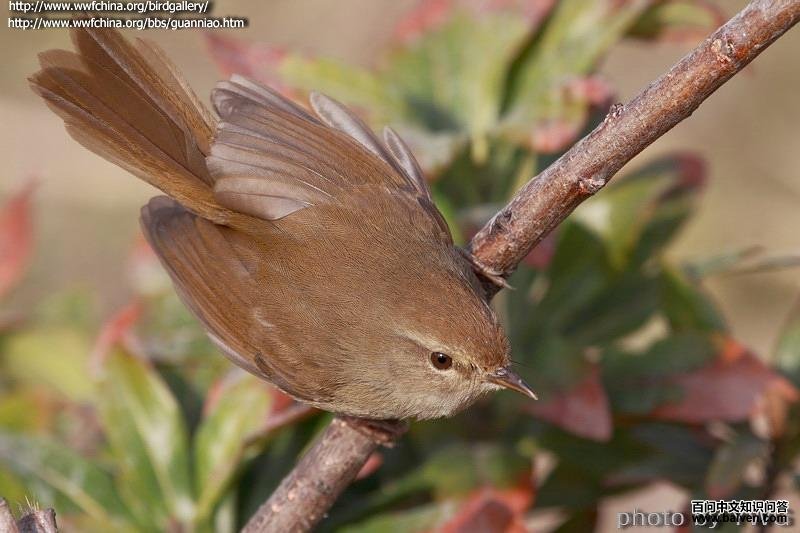 ǿ����ݺ�������㽭��