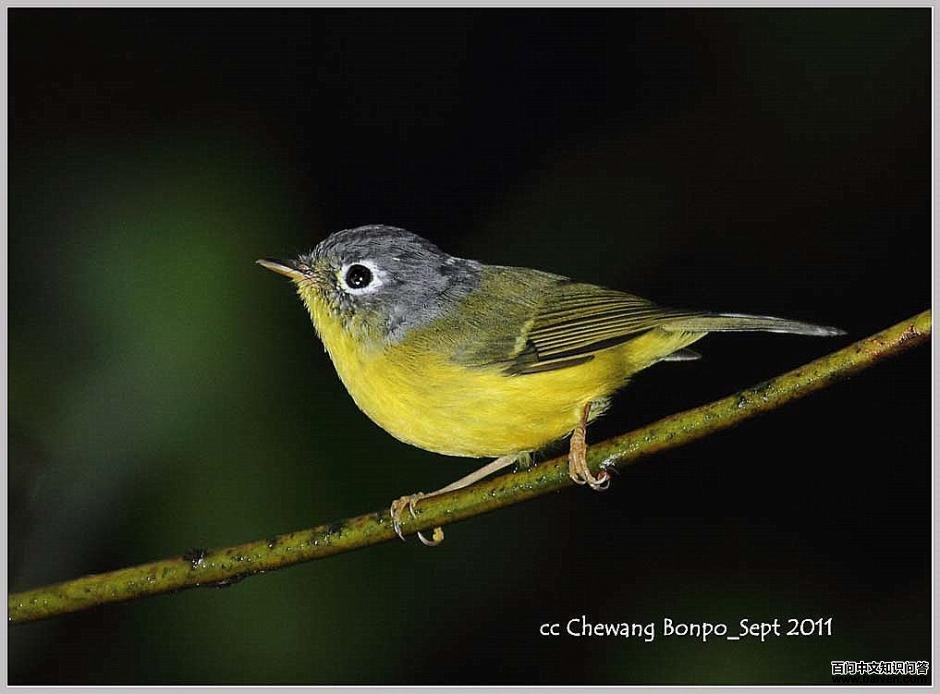 �׿��lݺ��ͼƬ