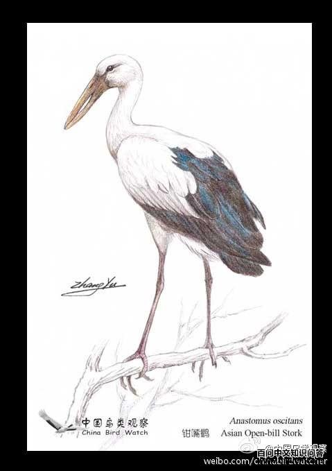 ǯ���٣���̬����ͼ����褻棩