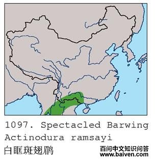 �׿��߳��̣������ֲ�ͼ