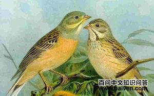 ���c��̬����ͼ