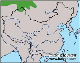 ���c�����ֲ�ͼ