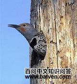 �ھ��˳���