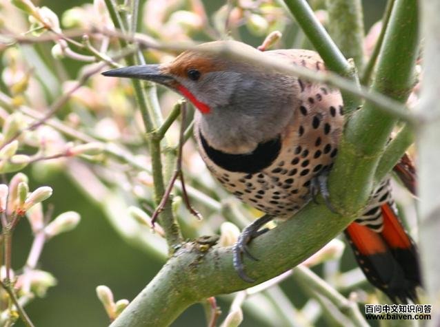 �˳�����