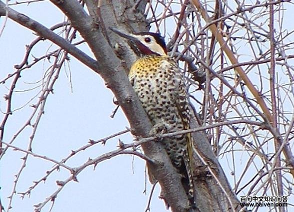 �˳�����