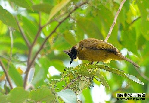 �������ǵ�ͼƬ