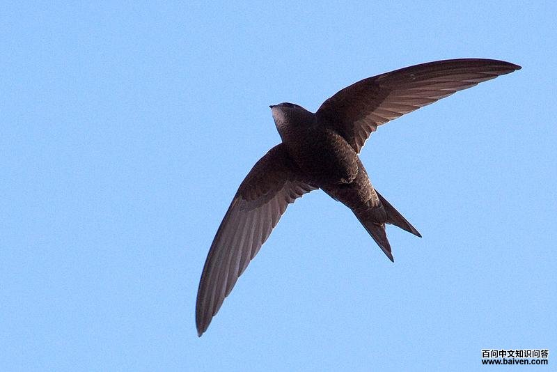 ����-�����ͼƬ