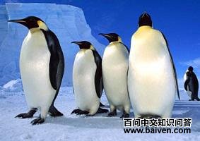 ���ƣ������