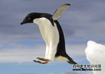 ���ƣ����������