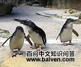 С�������