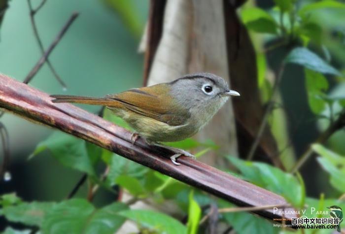 �׿�ȸ�̵�ͼƬ