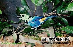 �߲��Ƽ���ȸ