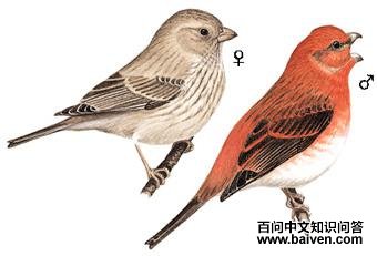 ��ͨ��ȸ����̬����ͼ