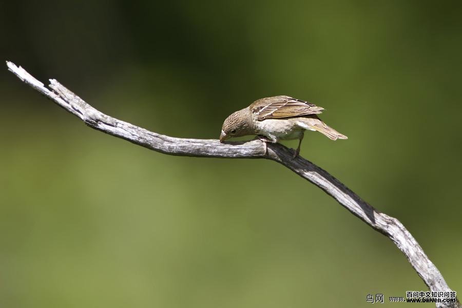 ��ͨ��ȸ���������嵨�۷ᣬ���ڽ�����2012��8��