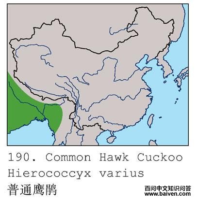 ��ͨӥ�飺�����ֲ�ͼ