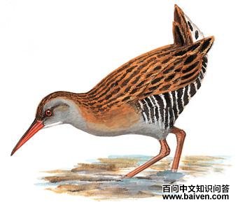 ��ͨ��������̬����ͼ