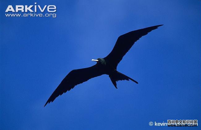 �����������ͼƬ