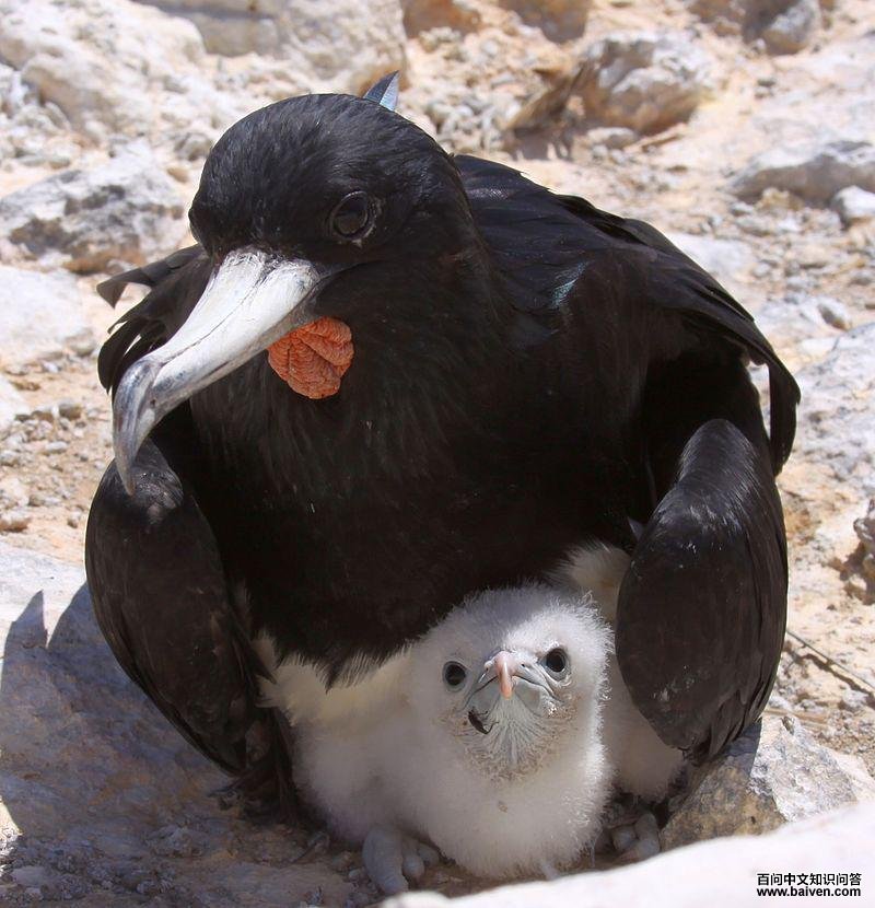 ������������������