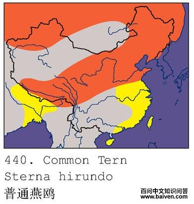 ��ͨ��Ÿ�������ֲ�ͼ