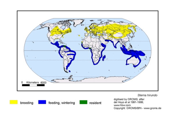 ��ͨ��Ÿ������ֲ�ͼ