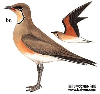 ��ͨ���a����̬����ͼ