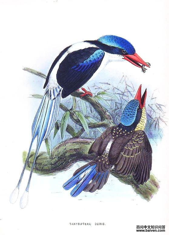 ��ͨ������ͼƬ