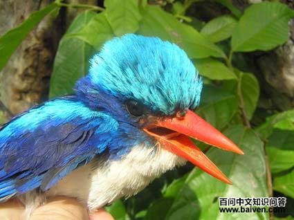 ��ͨ�����