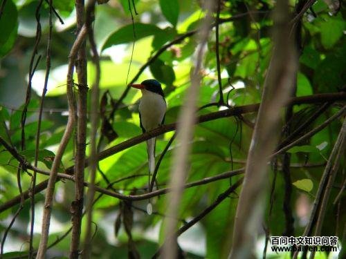 ��ͨ�����