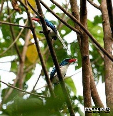 ��ͨ�����