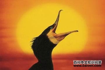 ��ͨ��ˣ�ͷ������