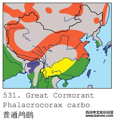 ��ͨ��ˣ������ֲ�ͼ