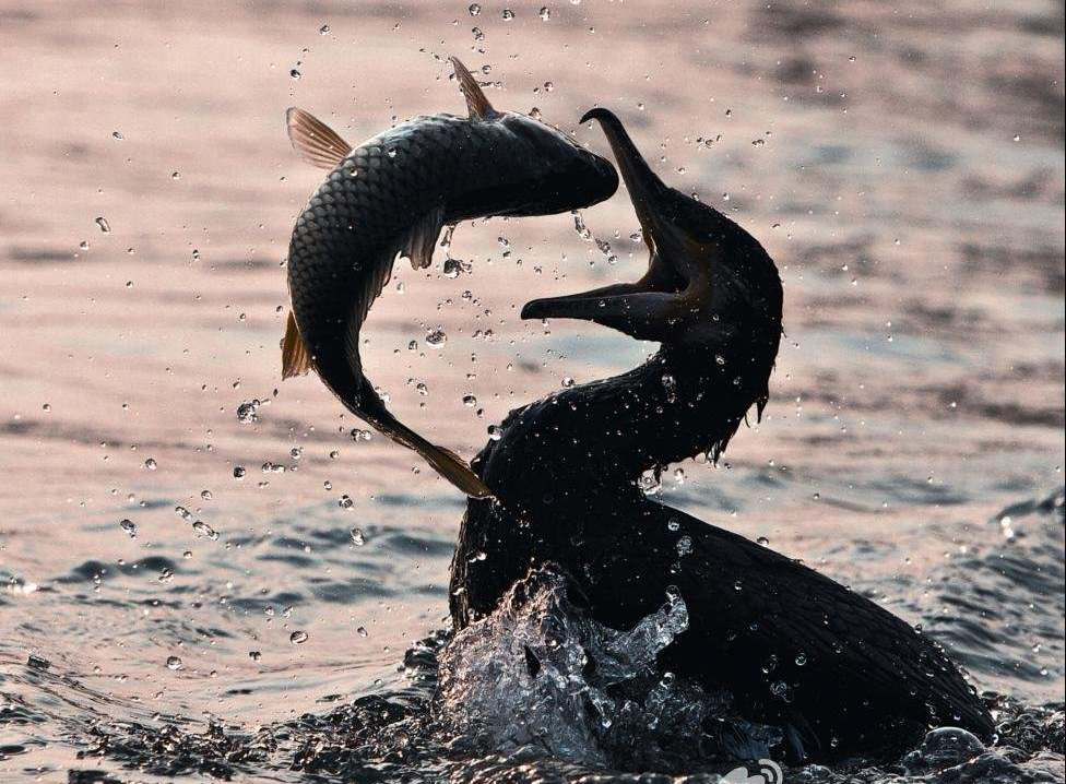 ��ͨ��ˣ�����